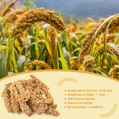 KATUMO sun dried millet close up showing natural texture for healthy chewing