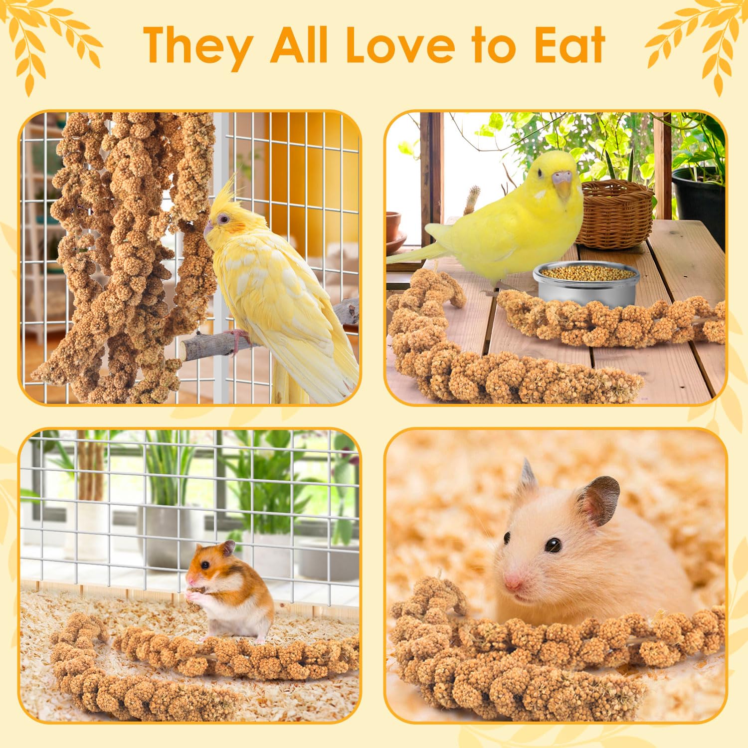 KATUMO training treat setup demonstrates enrichment during bonding time.