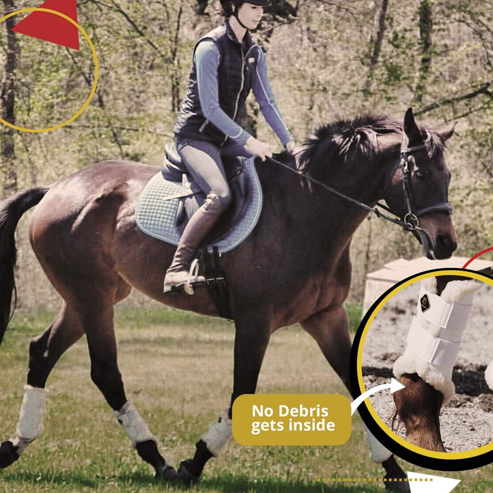 Kavallerie Dressage Boots shock-pad detail image highlights impact absorption during training.