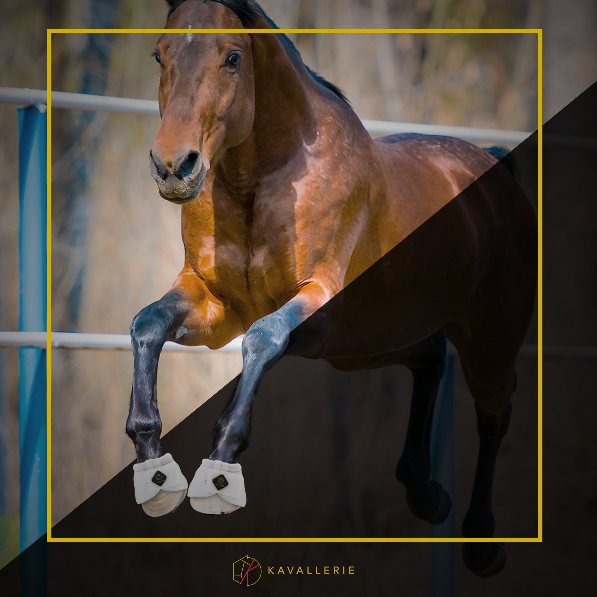 Kavallerie PRO-K Soft No Turn Bell Boots show simple cleaning and maintenance.