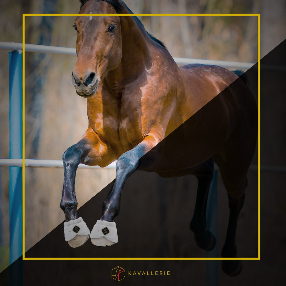 Kavallerie PRO-K Soft No Turn Bell Boots show simple cleaning and maintenance.