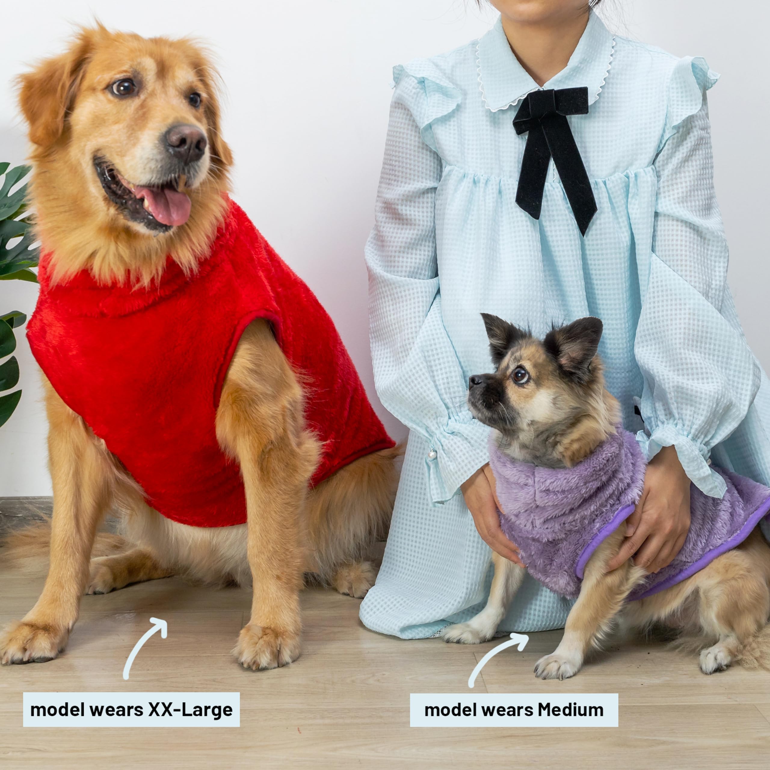 KAYCOWZA two-pack colors display versatile daily wear