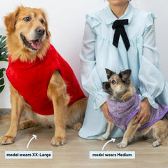 KAYCOWZA two-pack colors display versatile daily wear