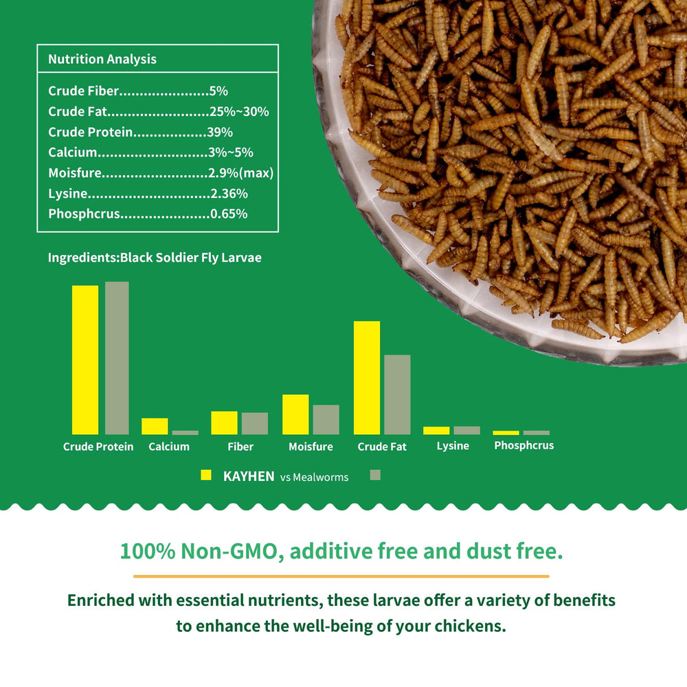 KAYHEN bsfl-protein-rich-snack highlights high-protein larvae for birds and reptiles.