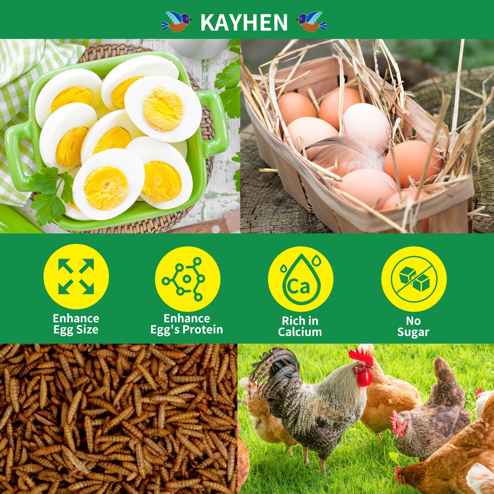 KAYHEN calcium-dense-larvae emphasizes calcium-rich feed for stronger egg shells.