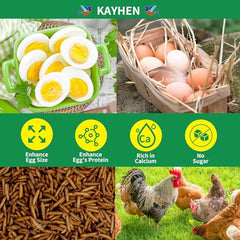 KAYHEN dried BSF larvae close-up reveals a crisp texture for treats.