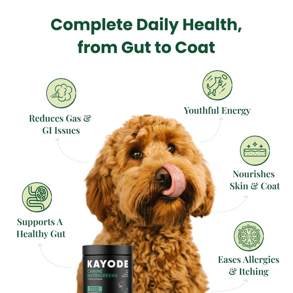 Kayode NutriGreens bottle packaging showing no-mess chew formula.