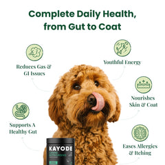 Kayode NutriGreens bottle packaging showing no-mess chew formula.