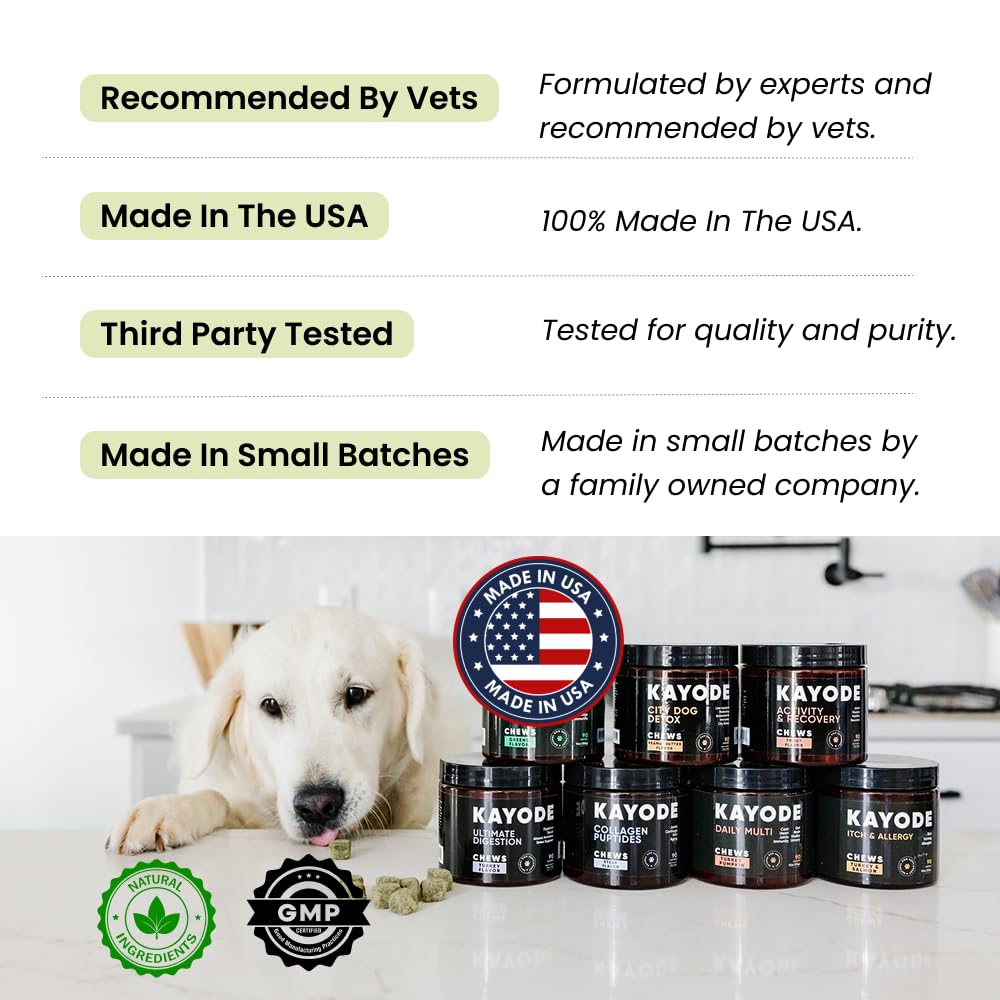 Kayode NutriGreens dog enjoying chews during snack time.