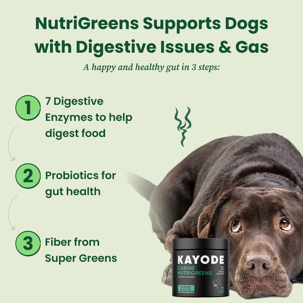 Kayode NutriGreens kelp ingredients signaling mineral support for skin and gut.