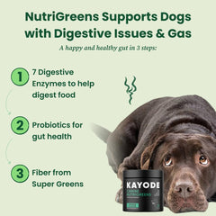 Kayode NutriGreens kelp ingredients signaling mineral support for skin and gut.