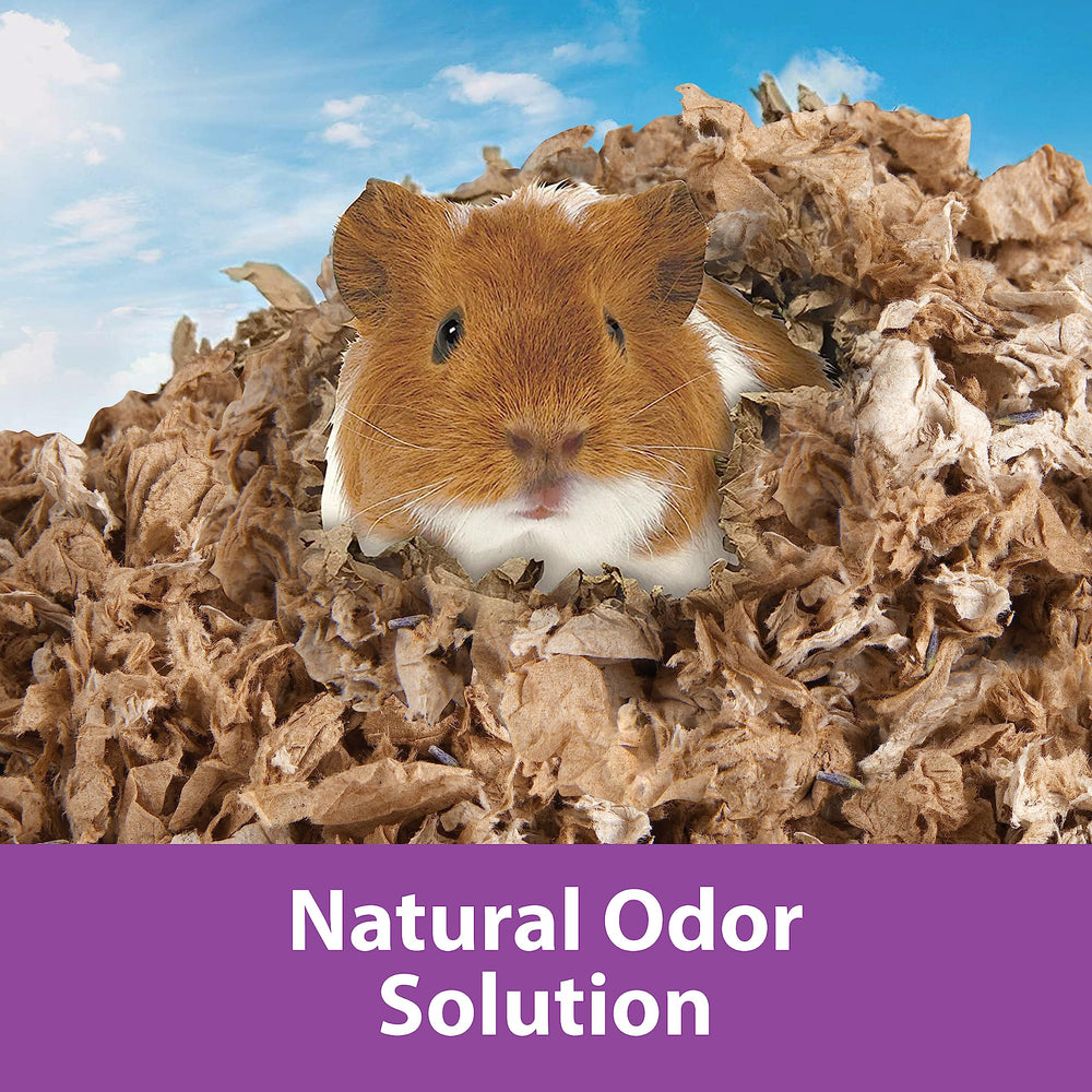 Kaytee Clean and Cozy Lavender Bedding is 99.9% dust-free for a cleaner cage.