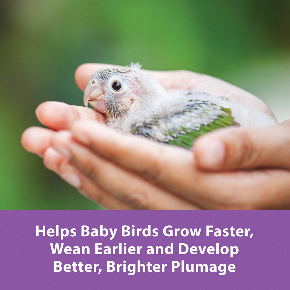 Kaytee Exact digestive enzymes aid digestion during weaning.