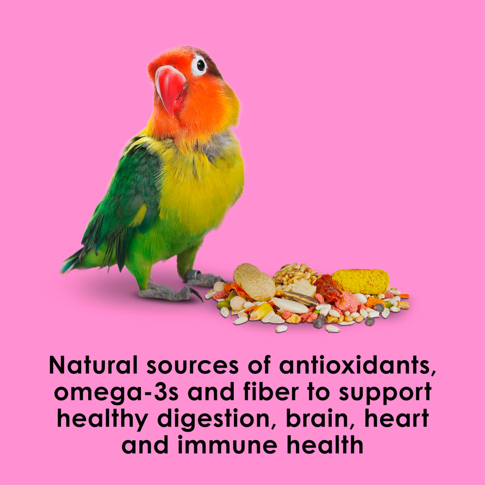Kaytee Fiesta Big Bites probiotics and prebiotics aid digestive balance.