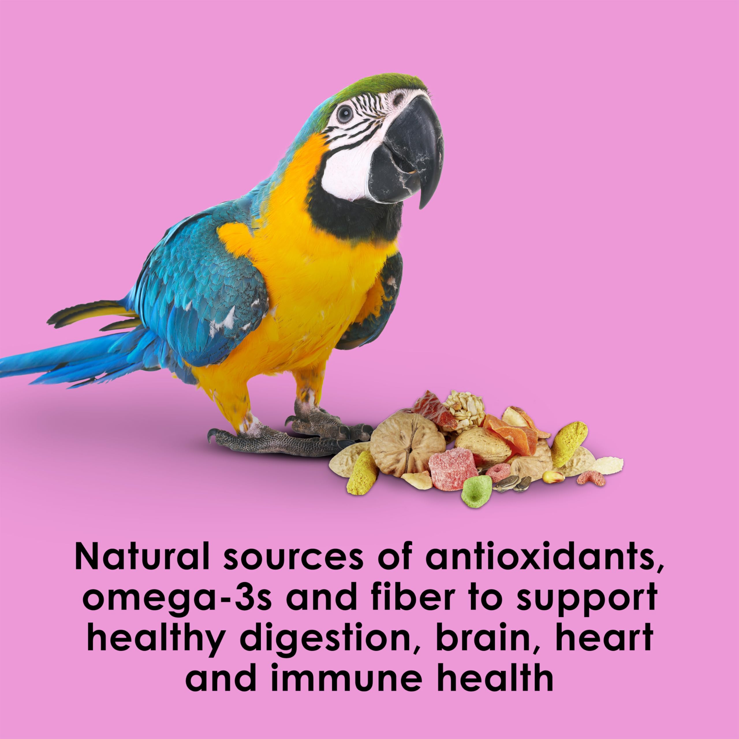 Kaytee Fiesta Big Bites Macaw Food omega-3 and probiotic blend benefits.