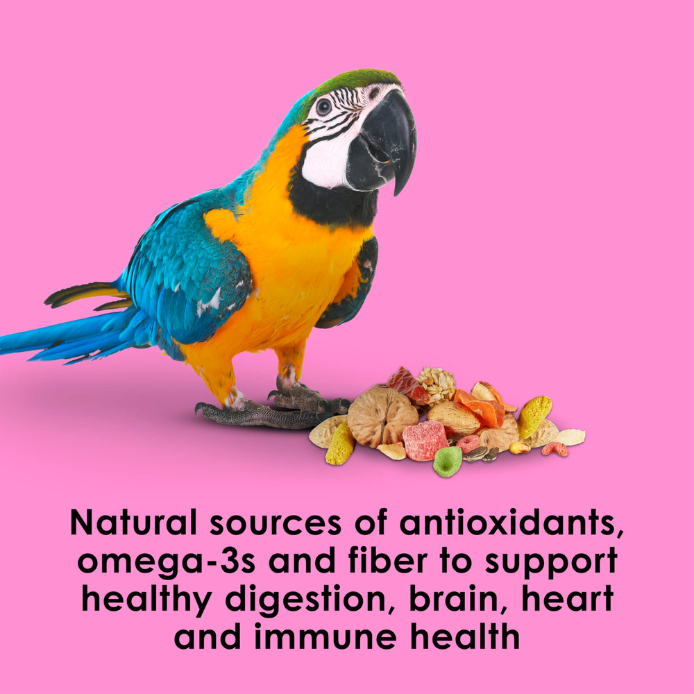 Kaytee Fiesta Big Bites Macaw Food omega-3 and probiotic blend benefits.