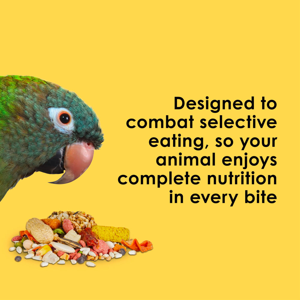 Kaytee Fiesta Big Bites antioxidants and omega-3-rich formula supports overall health.