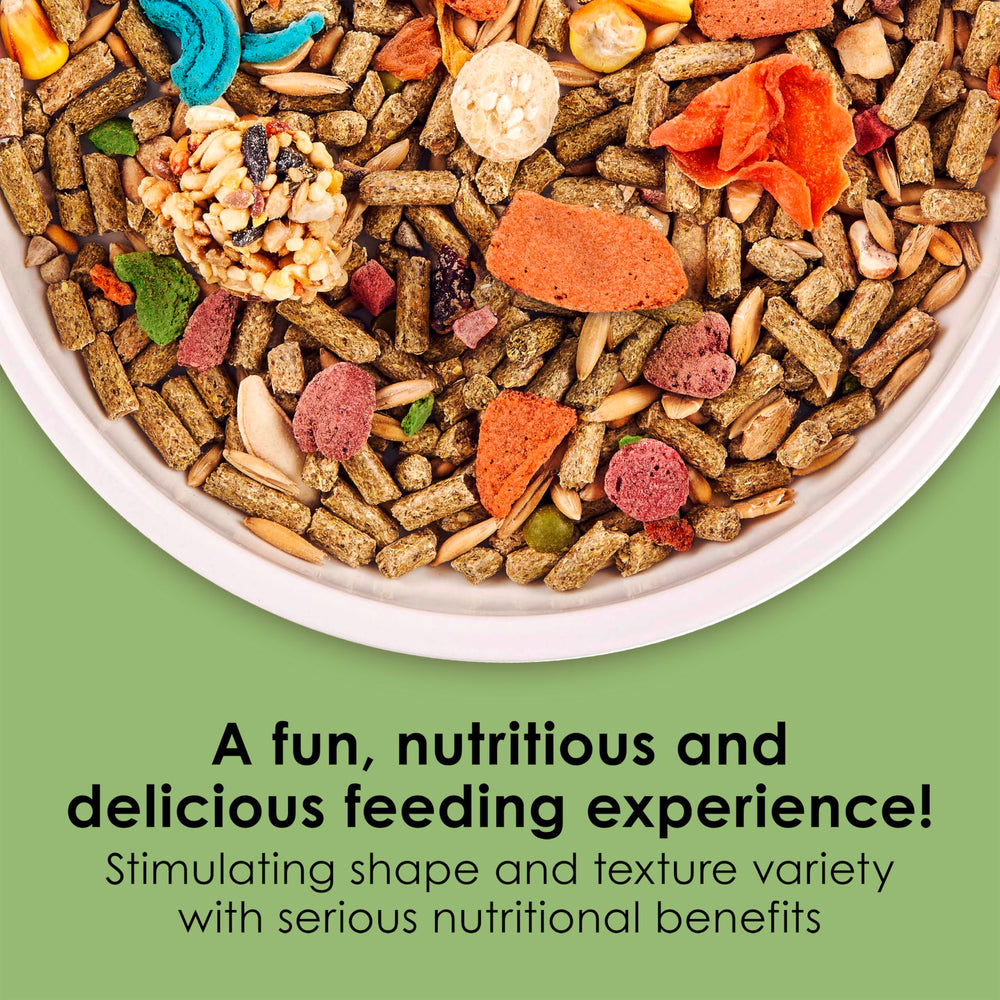 Kaytee Fiesta multi-texture pellets promote tactile chewing enrichment and dental health.