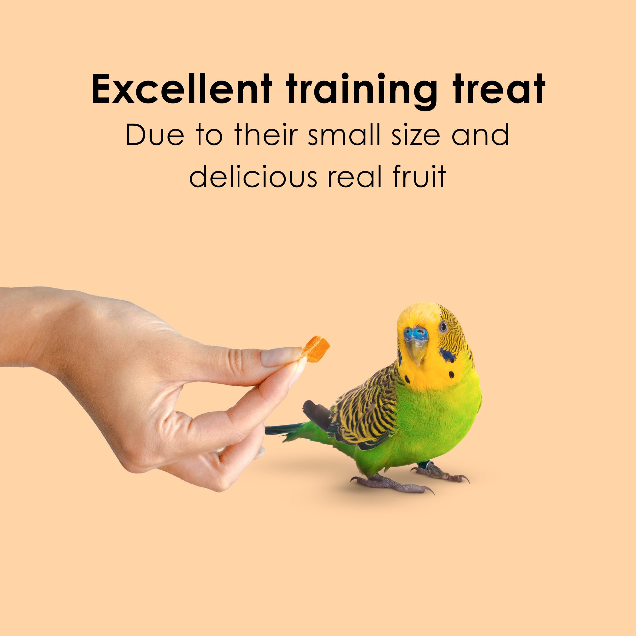 Kaytee Fiesta Papaya Bits being hand-fed to promote bonding and training potential.
