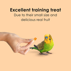 Kaytee Fiesta Papaya Bits being hand-fed to promote bonding and training potential.
