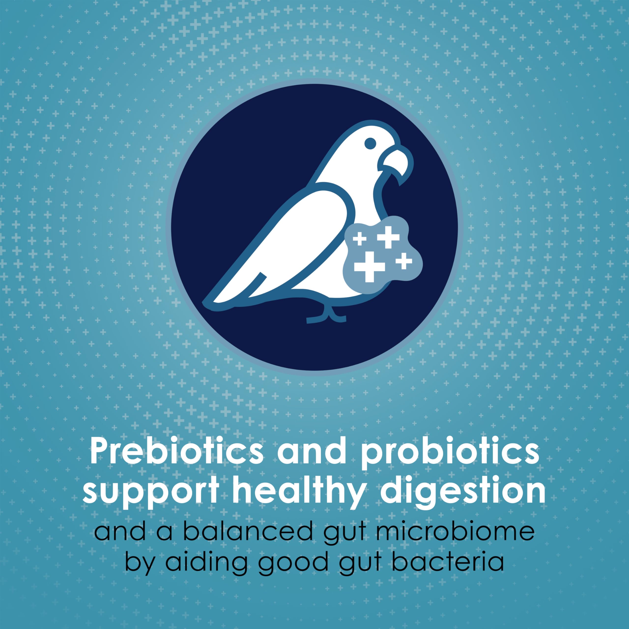 Finches sharing Kaytee Forti-Diet Pro Health in a bowl promotes healthy plumage.