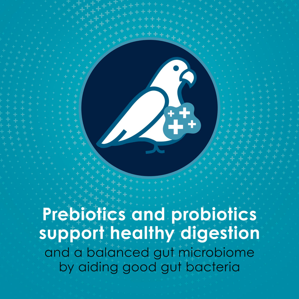 Finches sharing Kaytee Forti-Diet Pro Health in a bowl promotes healthy plumage.