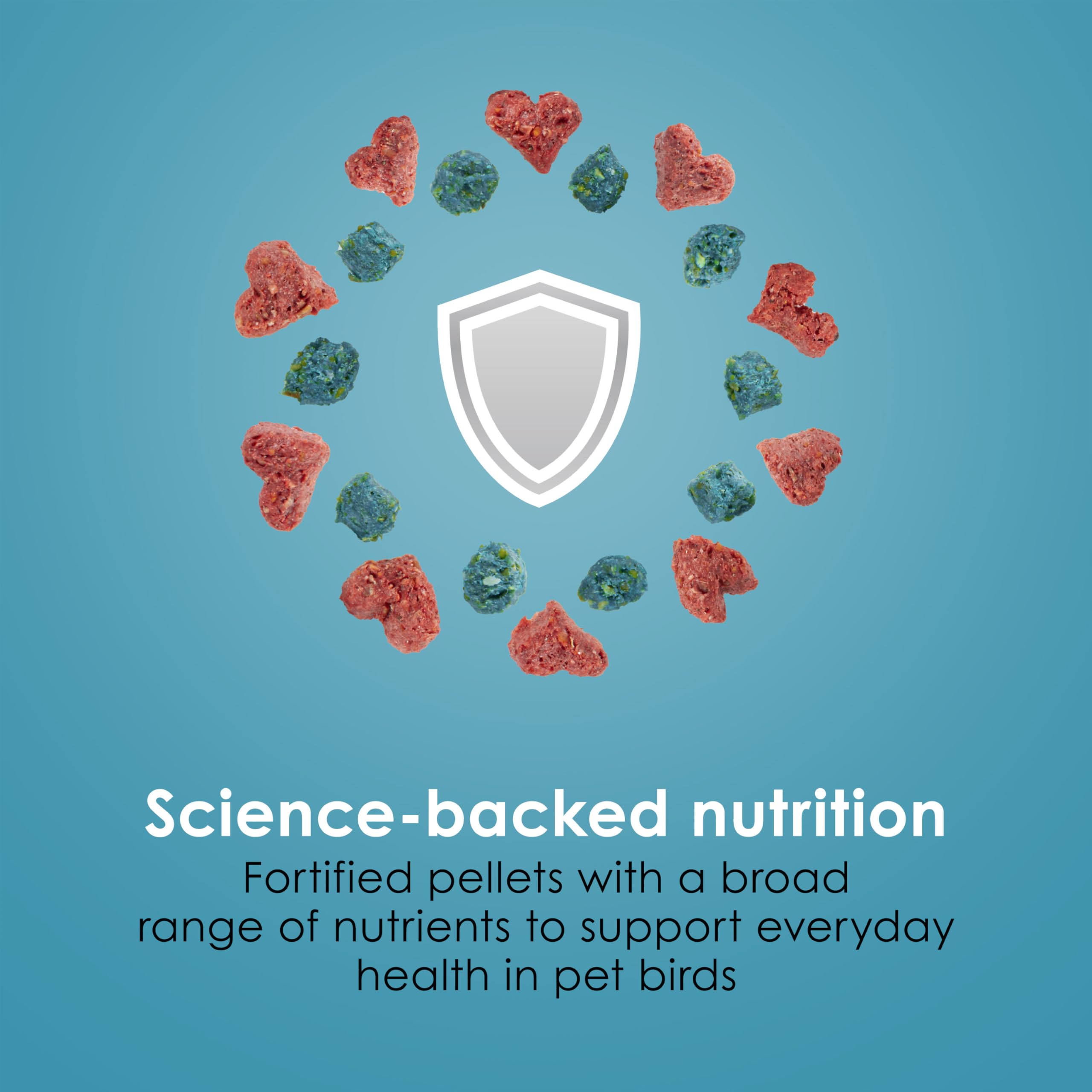 Omega-3 rich formula may support brain and heart health in small birds.
