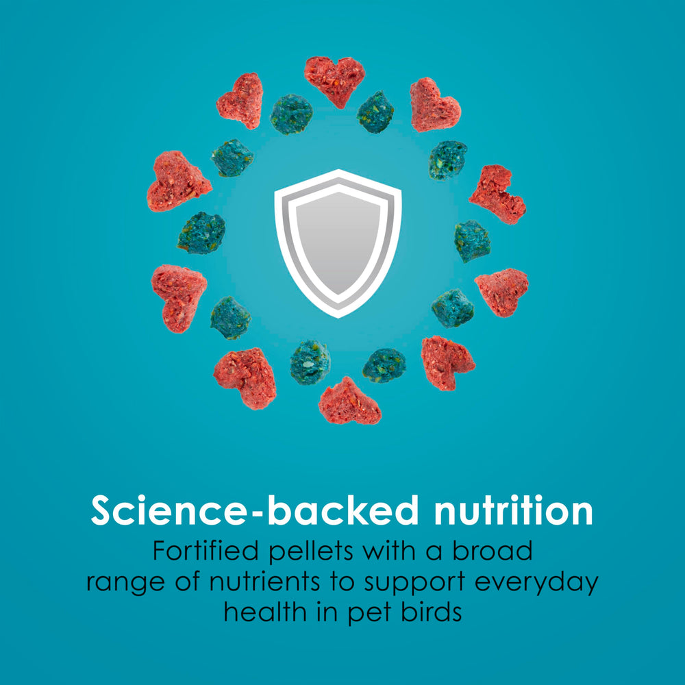 Omega-3 rich formula may support brain and heart health in small birds.