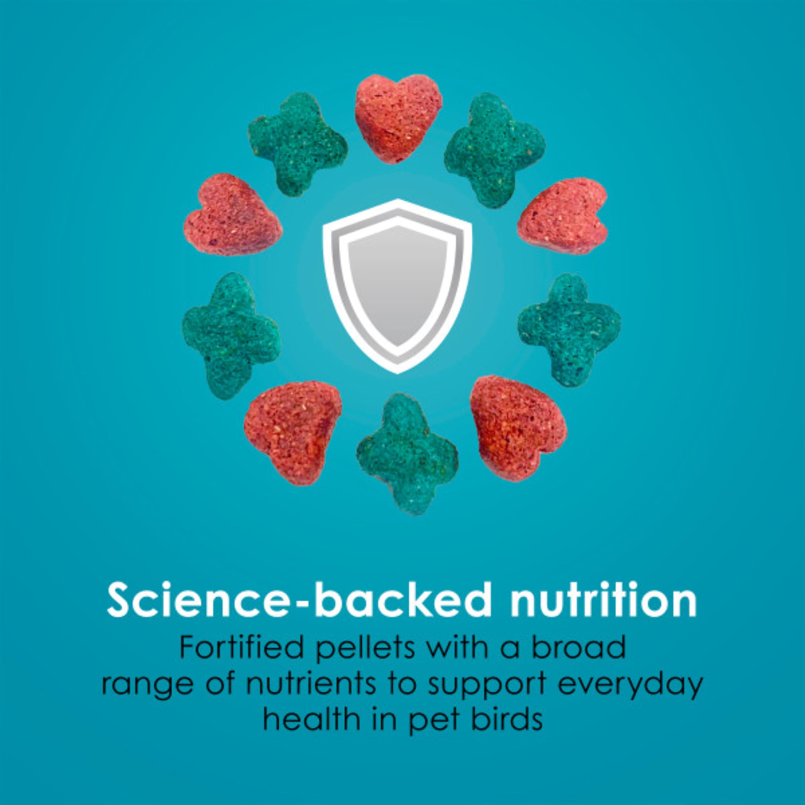 Kaytee Forti-Diet Pro Health parrot antioxidants for general health and immune support
