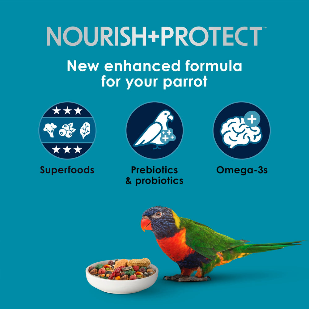 Kaytee Forti-Diet Pro Health parrot food close-up ingredients including fruits and nuts