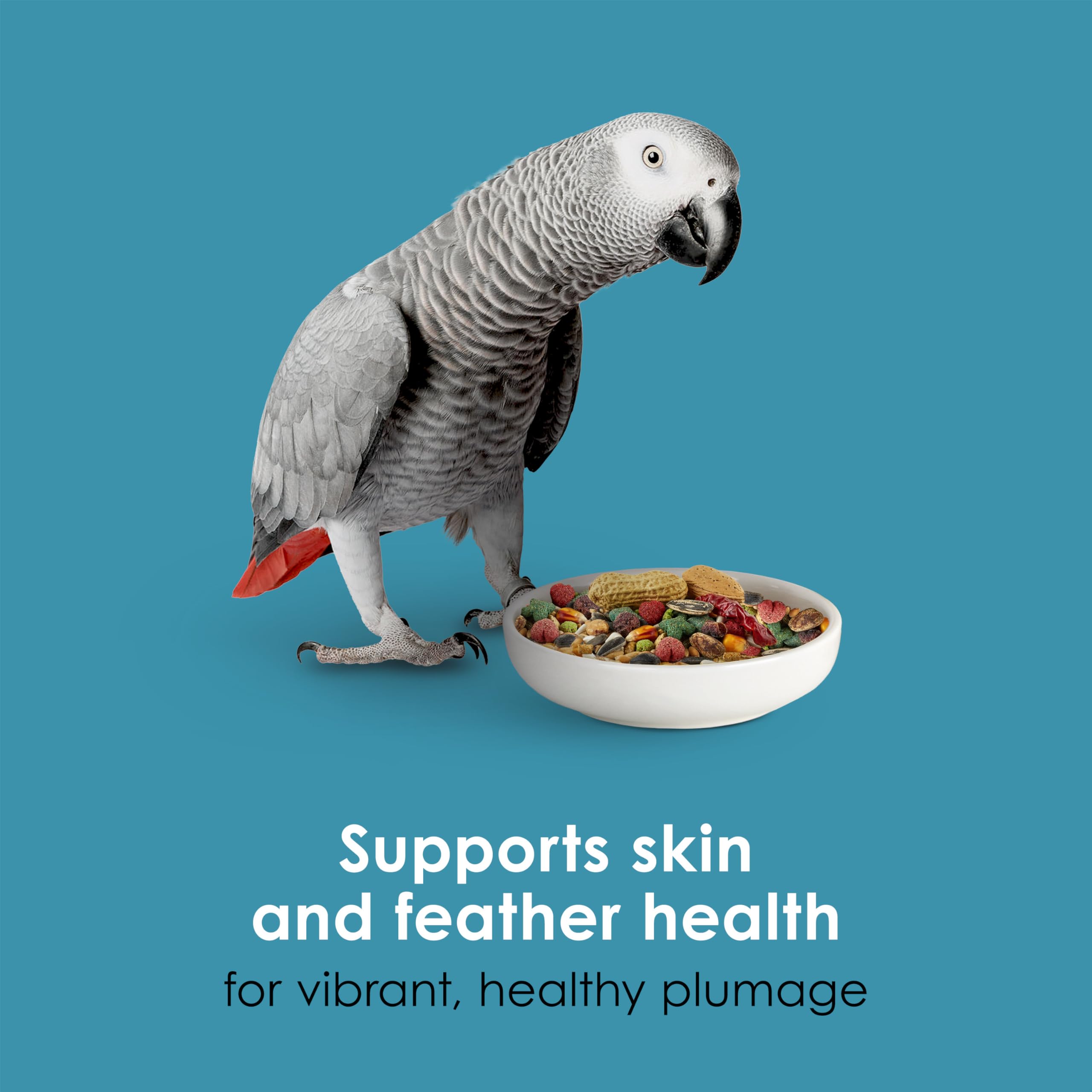 Kaytee Forti-Diet Pro Health parrot fruits-nuts-veggies mix display