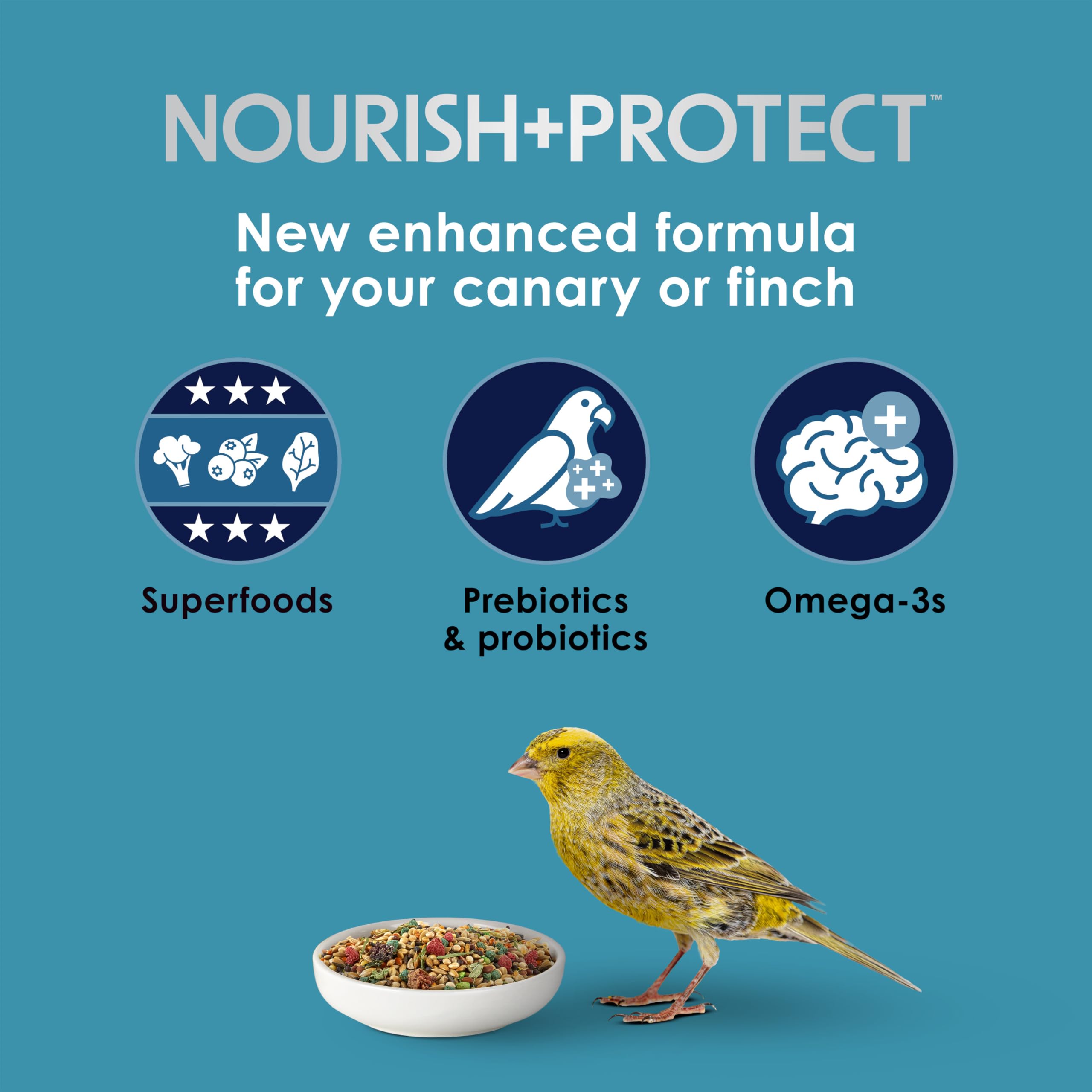 Close-up of Kaytee Forti-Diet Pro Health pellets highlights natural texture supporting skin and feather health.