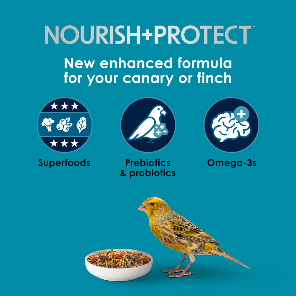 Close-up of Kaytee Forti-Diet Pro Health pellets highlights natural texture supporting skin and feather health.