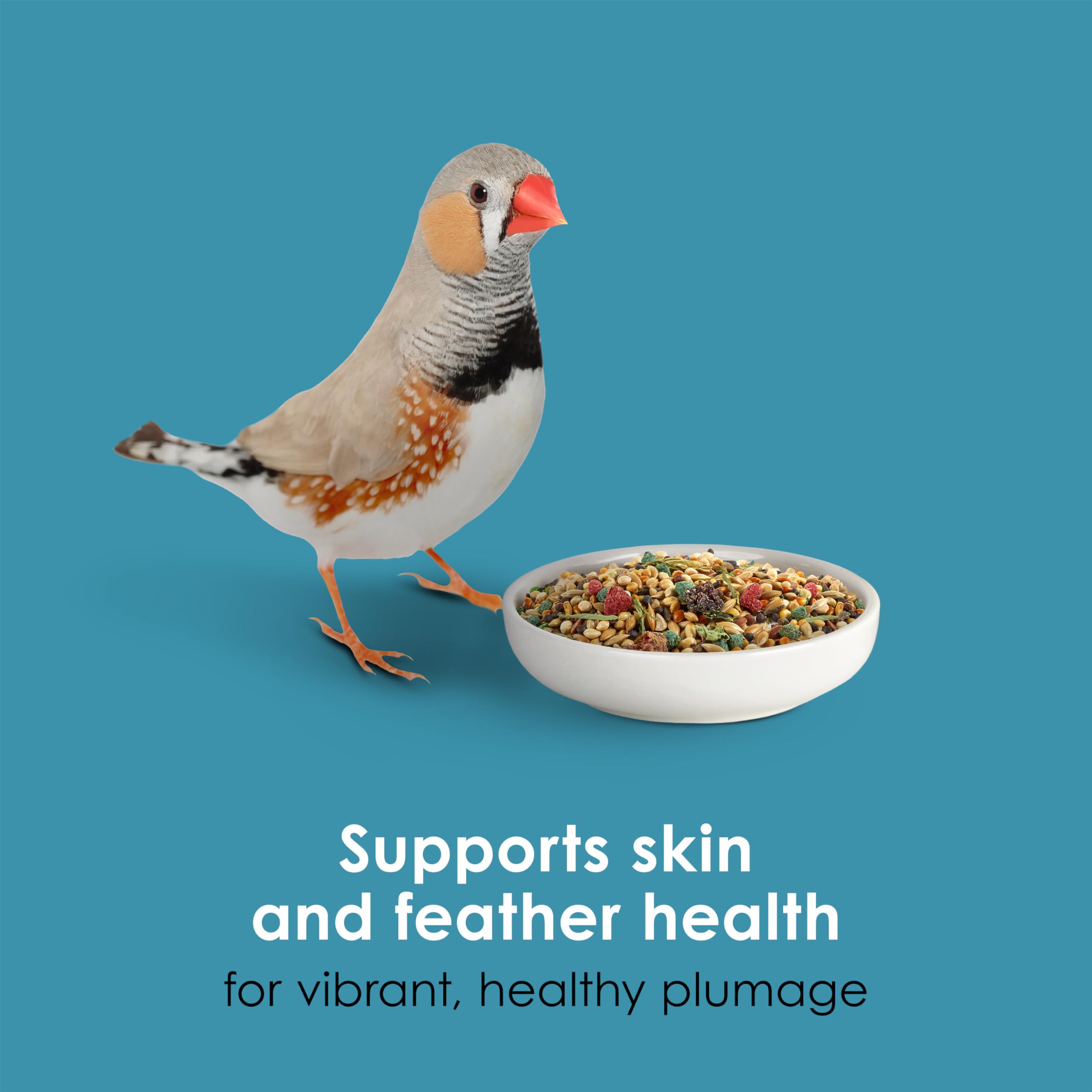Veterinarian-recommended Kaytee brand fosters trust for canaries and finches.