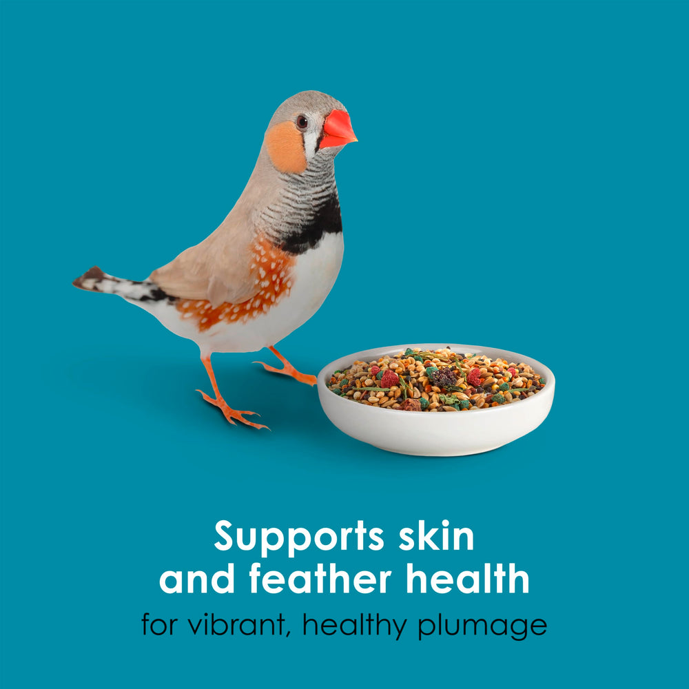 Veterinarian-recommended Kaytee brand fosters trust for canaries and finches.