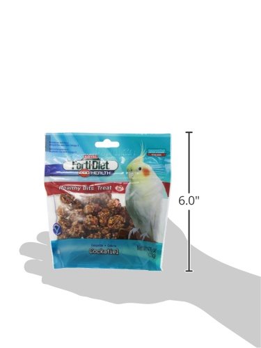 Bird enjoys Kaytee Healthy Bits bites, a crunchy, appealing reward.