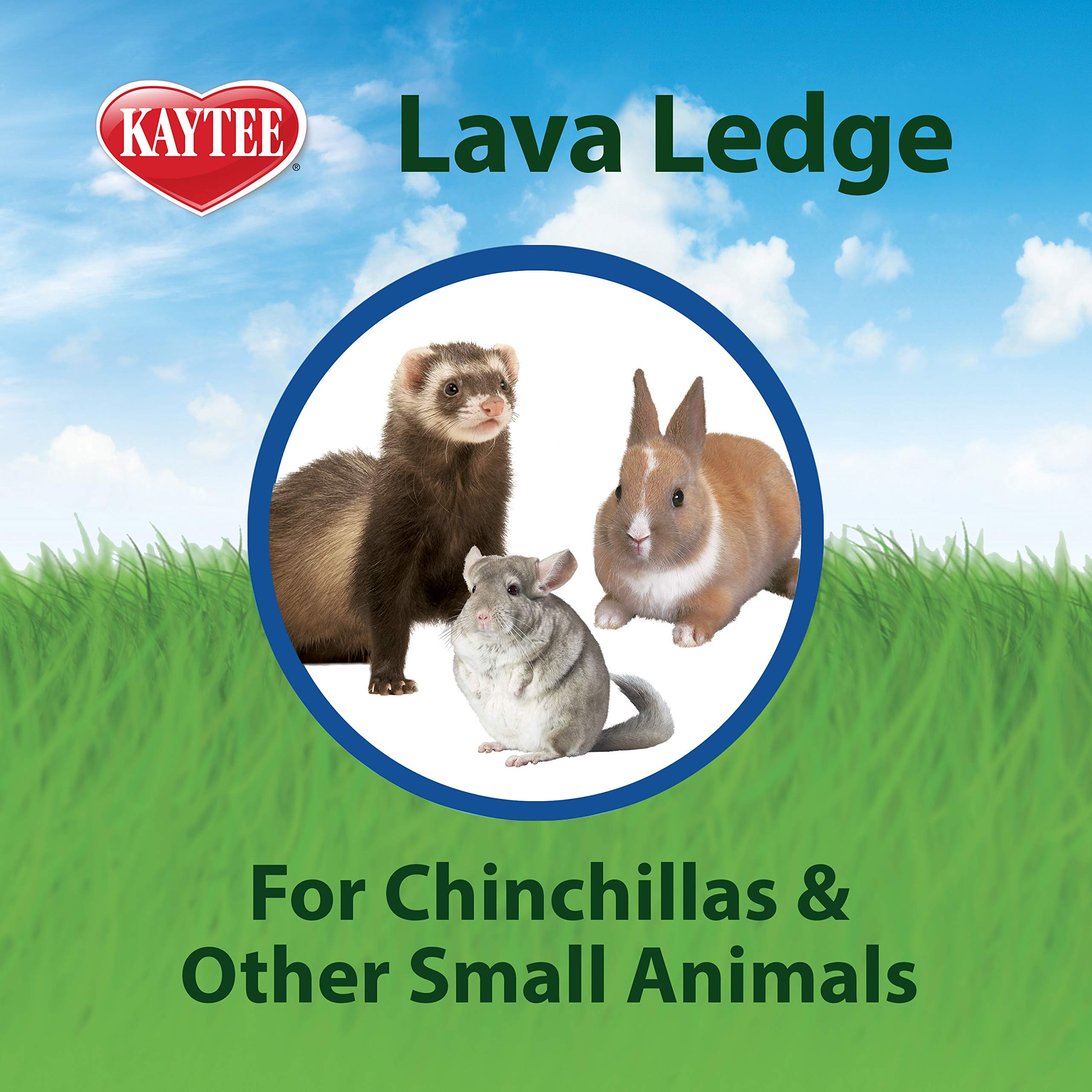 Kaytee Lava Ledge natural jumping encourages exploration and physical activity