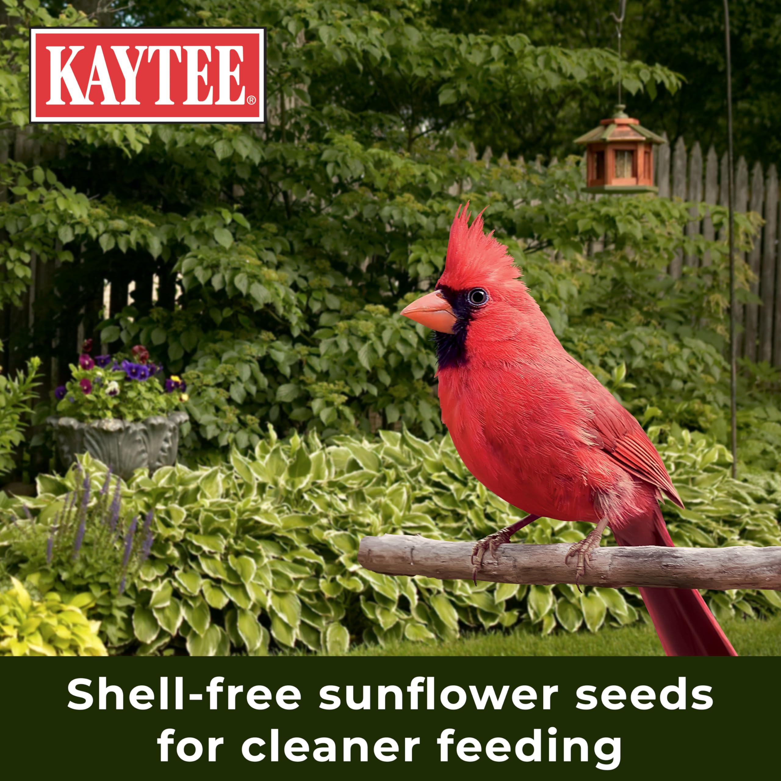 Kaytee No Mess Blend reduces shell litter around your feeding area.