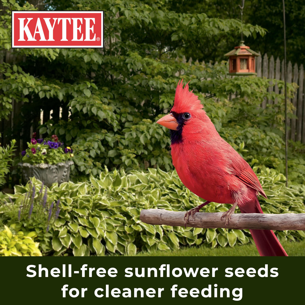 Kaytee No Mess Blend reduces shell litter around your feeding area.