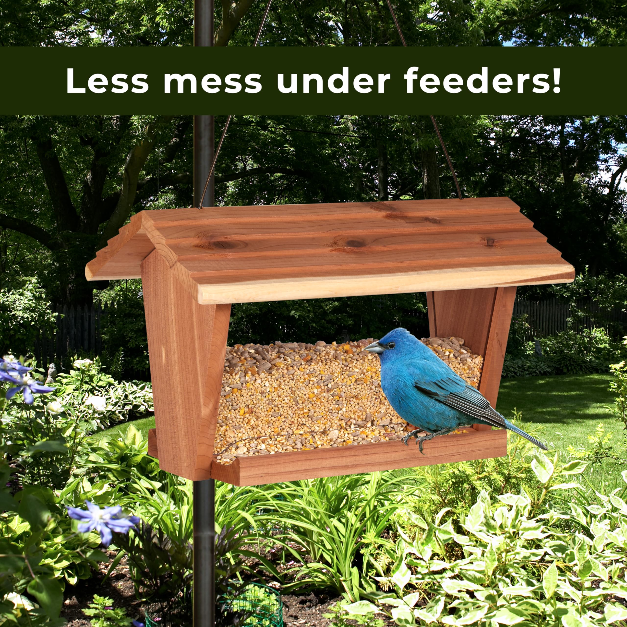 Kaytee No Mess Blend supports year-round bird visits with high-energy ingredients.