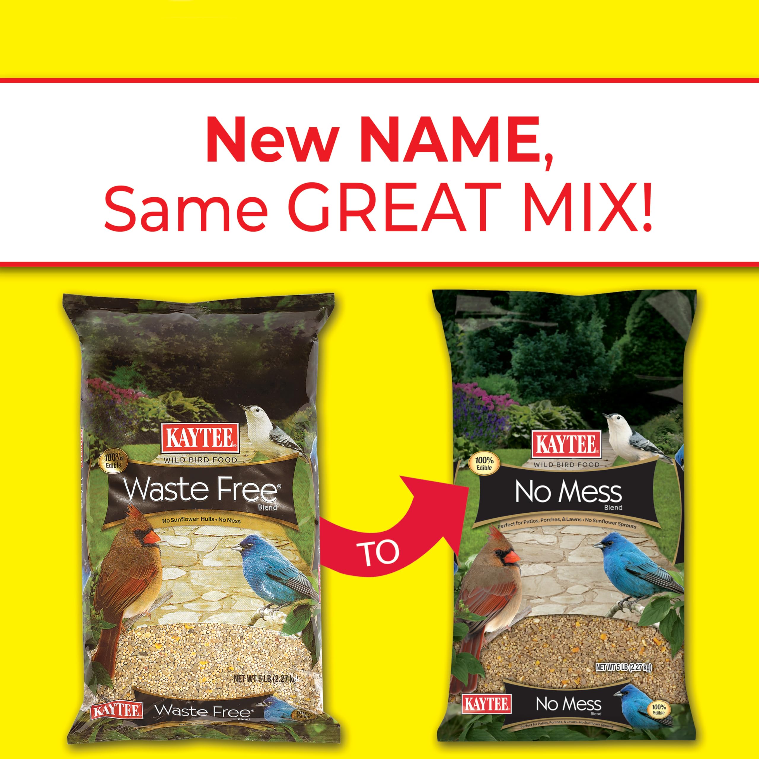 Kaytee No Mess Blend in feeder offers shell-free options for diverse backyard visitors.