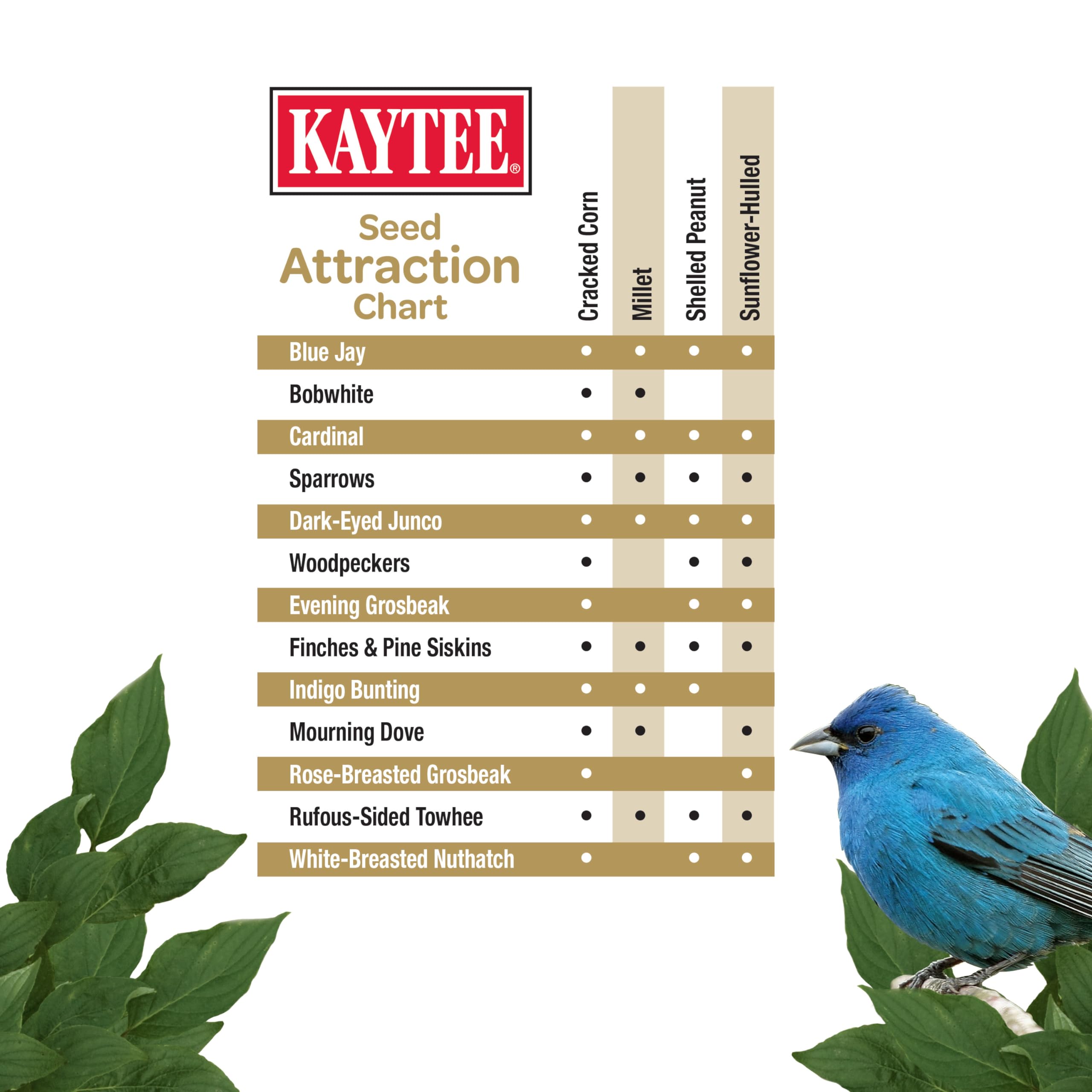 Kaytee No Mess Blend in yard setup promotes cleaner ground under feeders.