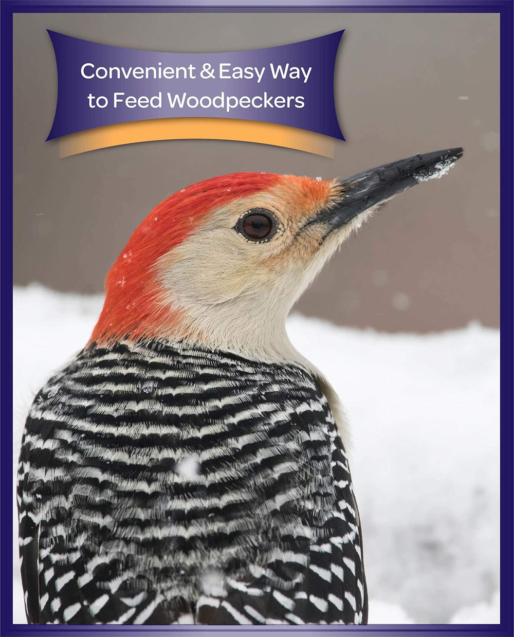 Kaytee Woodpecker Bird Bar close-up ingredients show variety for feeding birds.