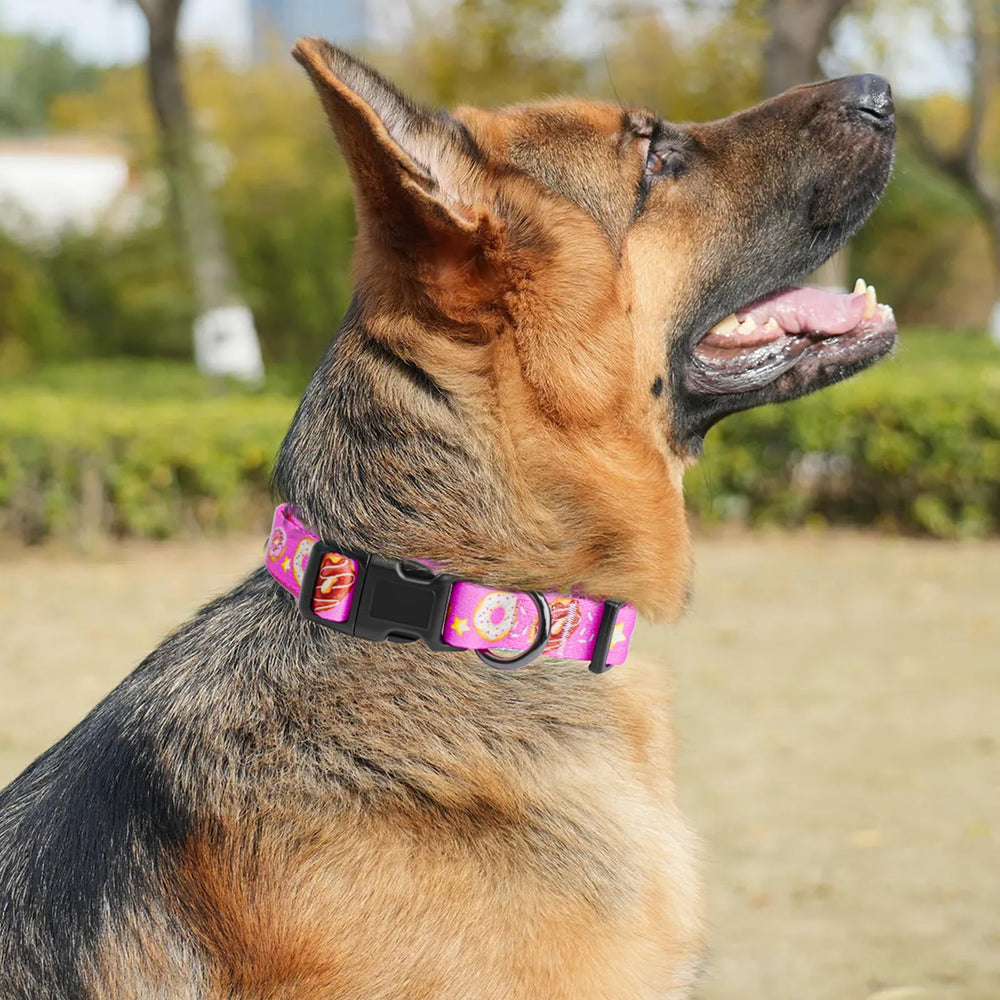 Kazazoo nylon safety collar uses durable materials for active dogs