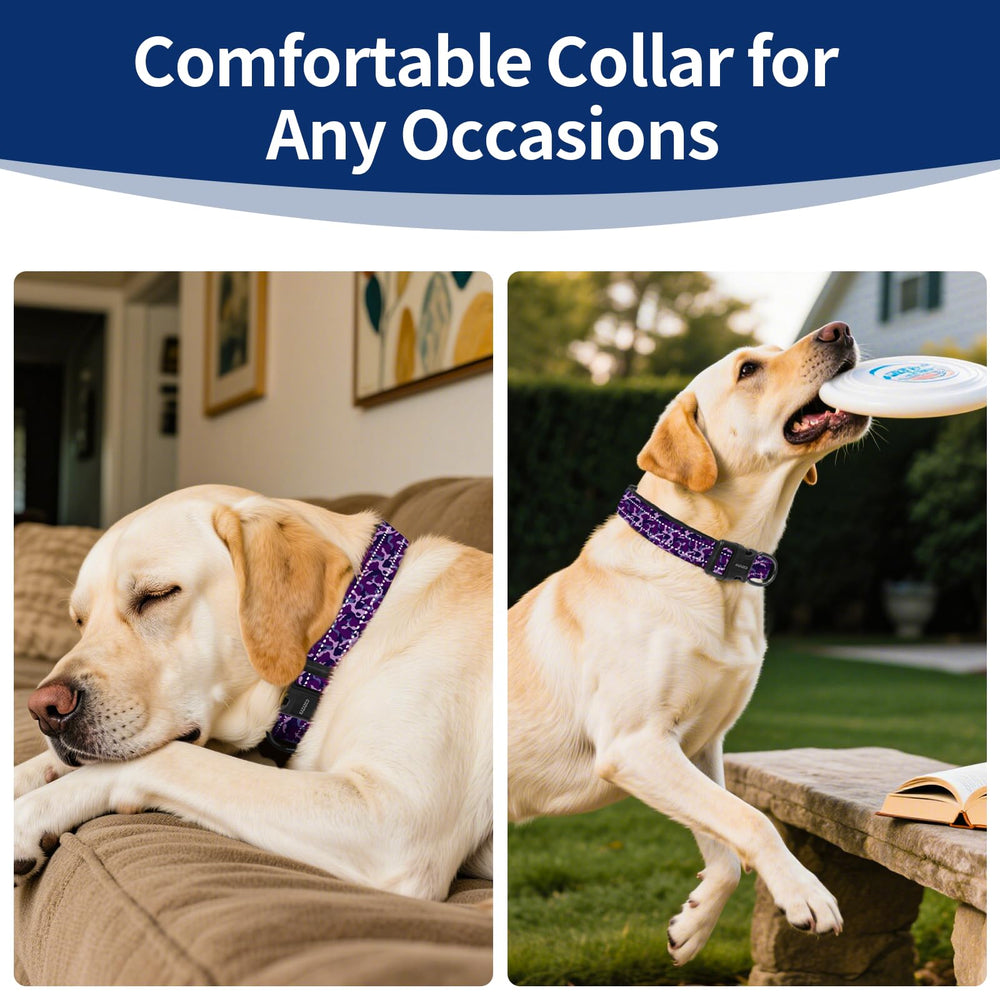 Kazazoo Reflective Dog Collar stainless D-ring supports secure leashes up to 300lbs.