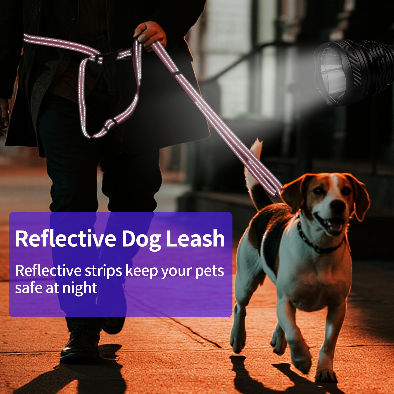 Kazazoo hands-free leash around-tree buckle view shows added versatility.