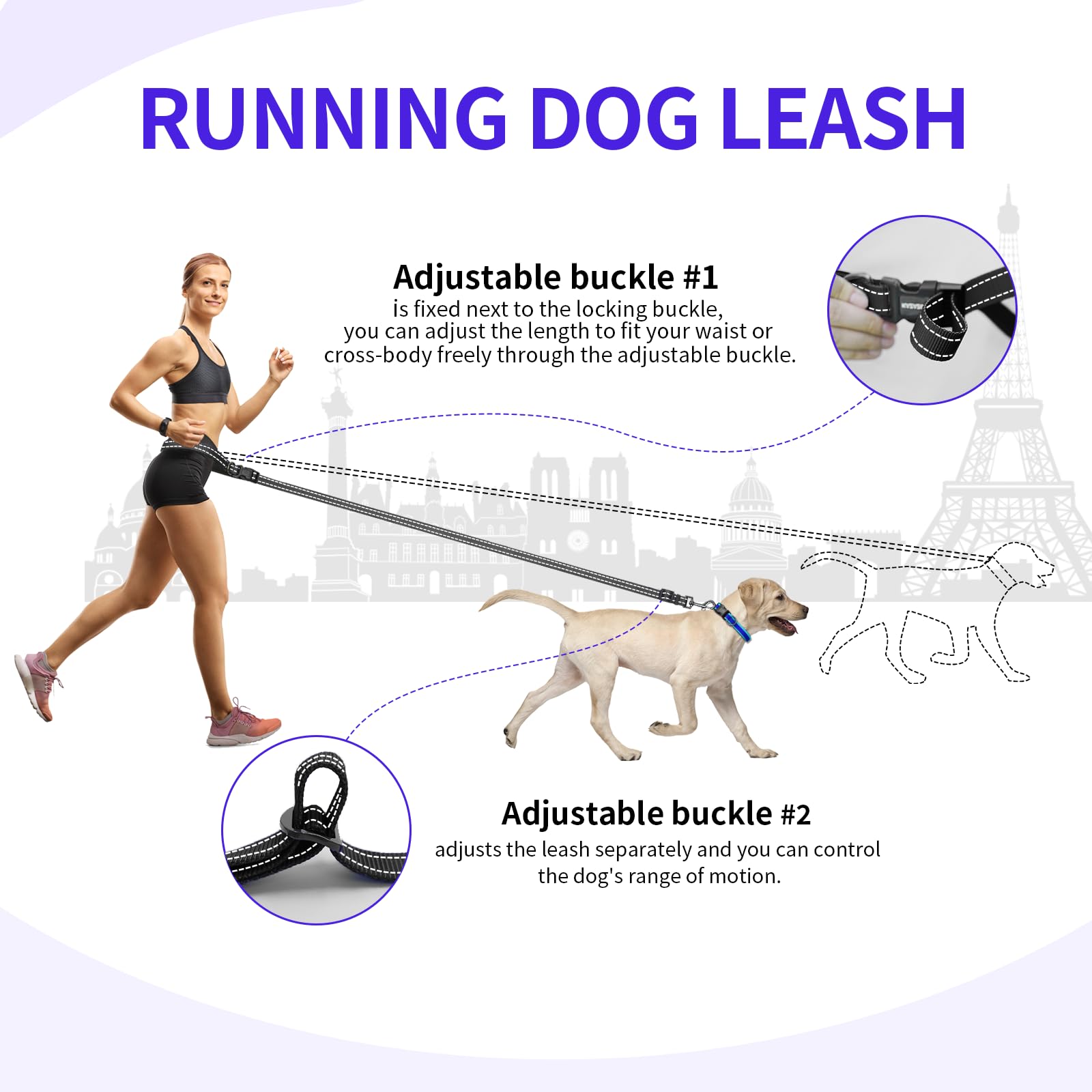 Kazazoo hands-free leash dog-running-scene during a jog