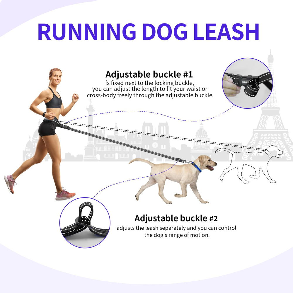 Kazazoo hands-free leash dog-running-scene during a jog