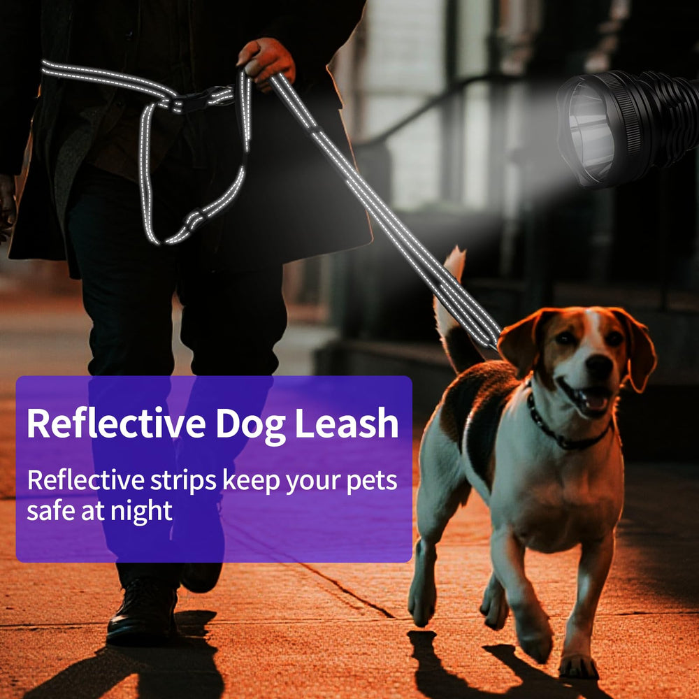Kazazoo hands-free leash tree-post-buckle demonstrating versatile securing