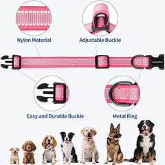 Kazazoo No-pull front attachment collar pink-l supports safer daily walks.
